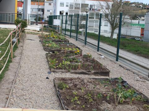 Jardim dos Sentidos  - A nossa horta é um projeto de alunos professoras e pais.